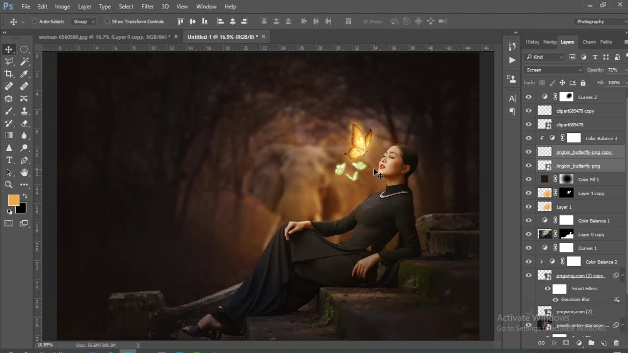 Butterfly Fantasy & Dramatic Photo Manipulation