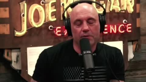 The Rogan experience.