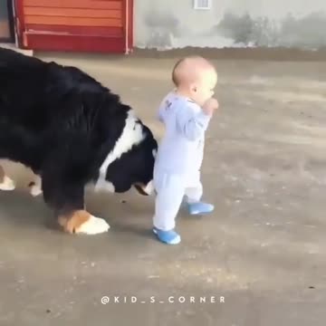 Come on go fast 🐶