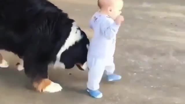 Come on go fast 🐶