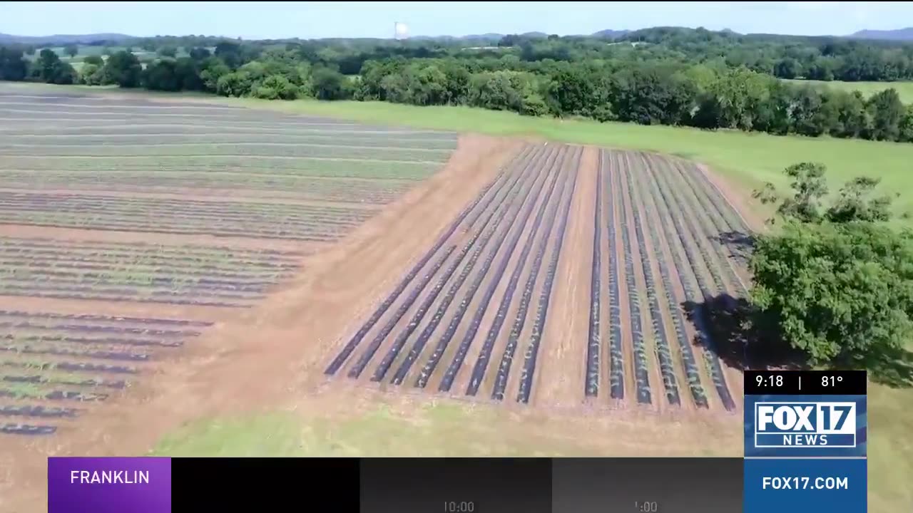 [2024-09-14] 'Not just a food issue': Tennessee farmer warns building boom threatens vital farmlands