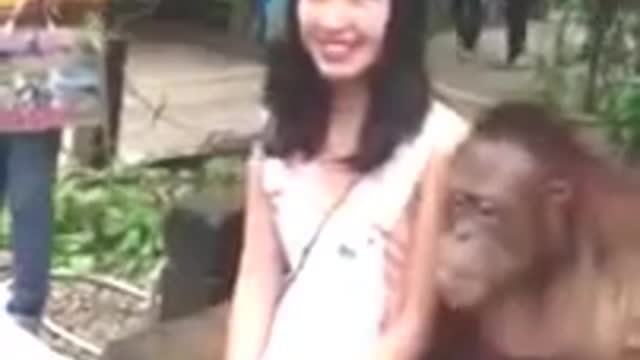 Amusing MONKEY playing with GIRLS