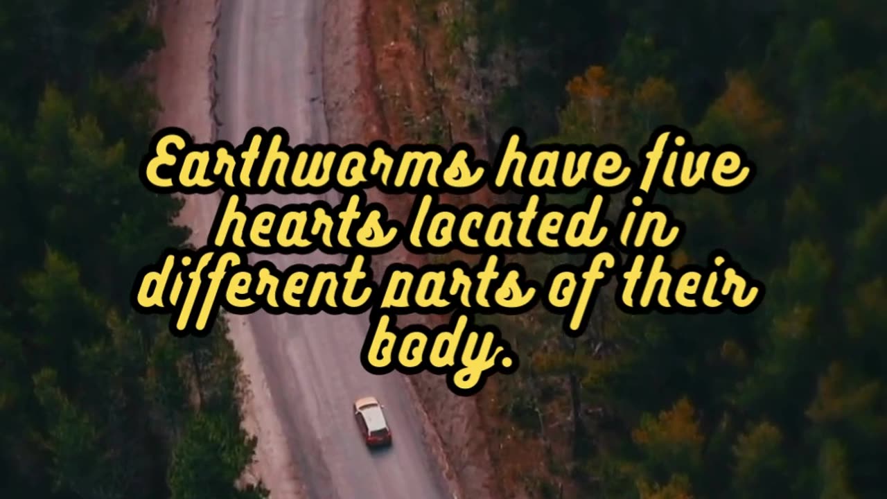 Animal Facts Earthworms #shorts