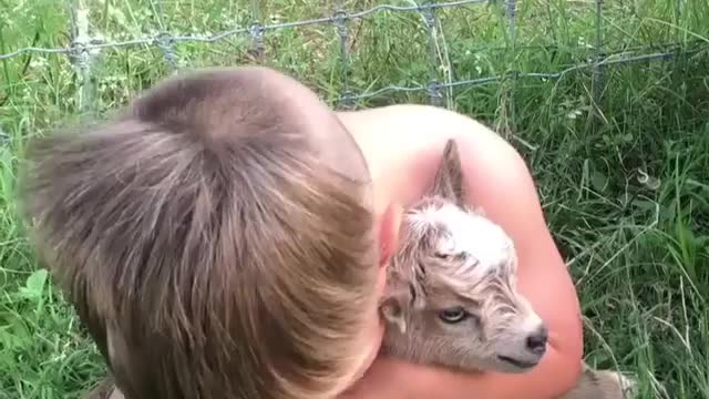 Golden Retriever Dog And Baby Are Best Friend