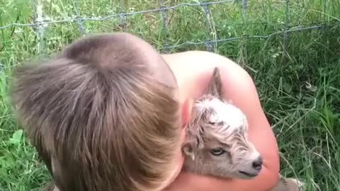 Golden Retriever Dog And Baby Are Best Friend