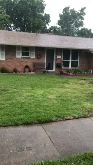 Hail storm in Texas and my dog watching it go down!