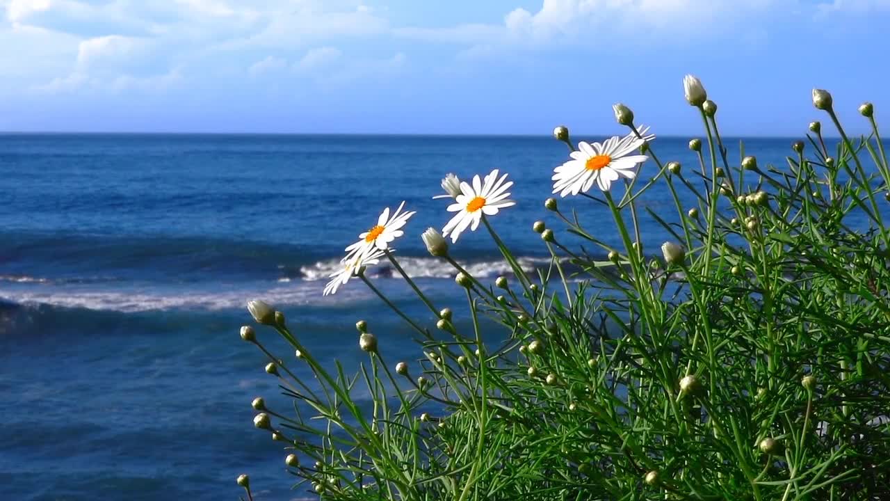 Seaside nature reduce stress