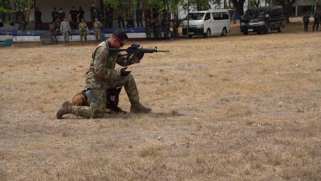 how to train your dog