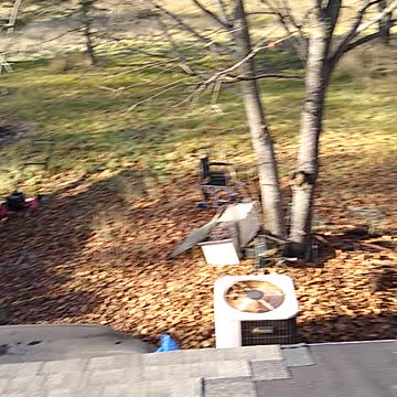 Colman's roof remodel