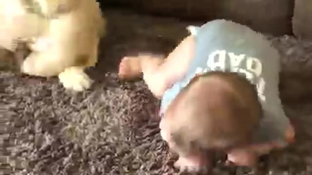 Funny viral babies