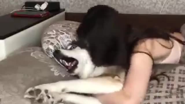 Morning hugs & kisses may get a different reaction!