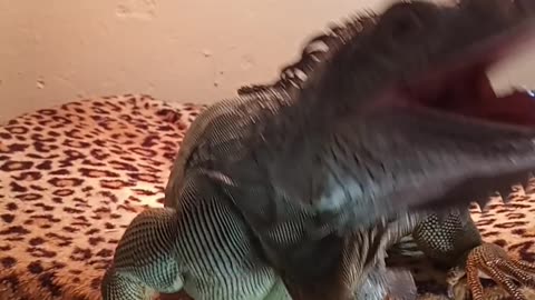 When You're Having A Bad Day!