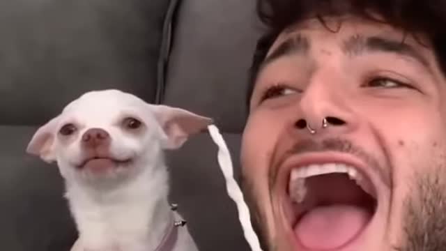 Nikki is always angry😡😡😡Funny dog video