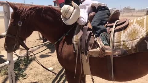 Real Life Rocking Horse Rocks Little Cowboy to Sleep