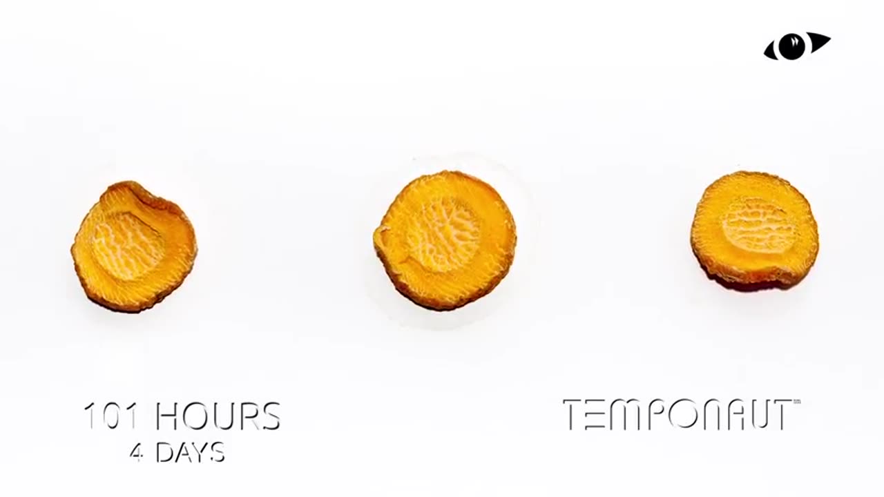 Carrot Timelapse