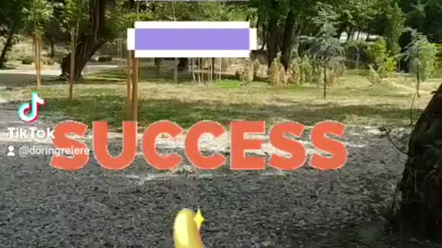 Failing is part of Success