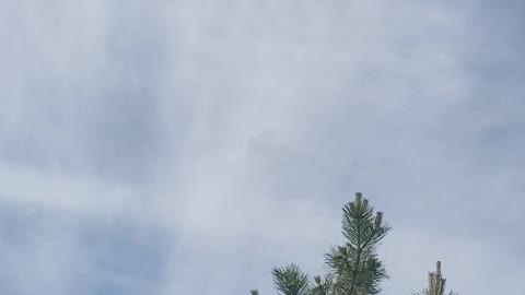 Tic tac toe in the sky! Just "con trails" right? Brantford Ontario, Canada 9:30am June 2, 2022