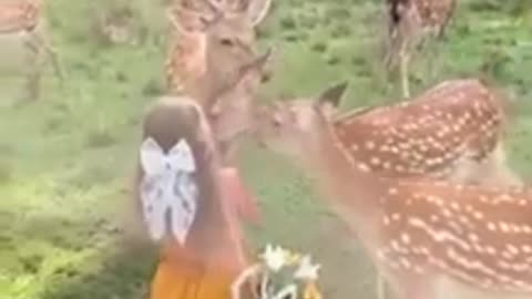 Girl serving foods in Feeds