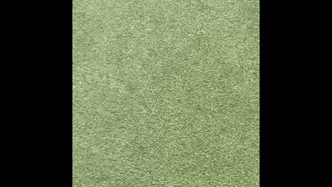 It’s the fact that this is two days in a row women have had their cameras in my face