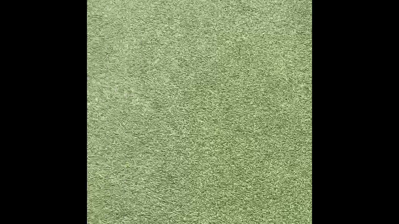 It’s the fact that this is two days in a row women have had their cameras in my face