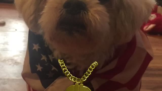 Loulou aka Louis NEWS 📰 since CNN fake news don’t put true news out.🇺🇸🇺🇸💙