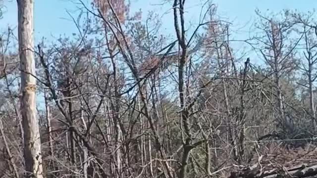 💥 Ukrainian aviation in action