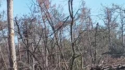 💥 Ukrainian aviation in action