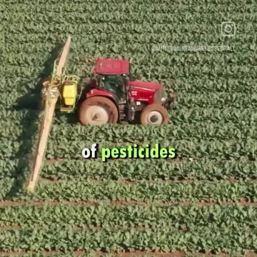 Dr. Casey Means is raising concerns about big pharma and our healthcare system.