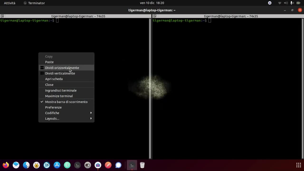 Terminator Ubuntu Linux - Terminali Multipli