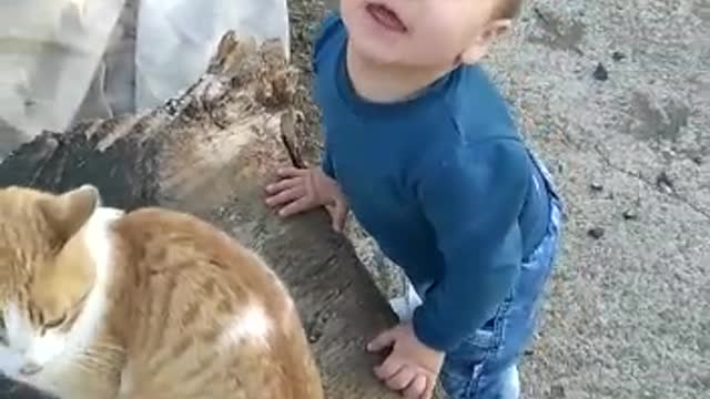 Baby and Cat Fun and Cute&Funny Baby Video