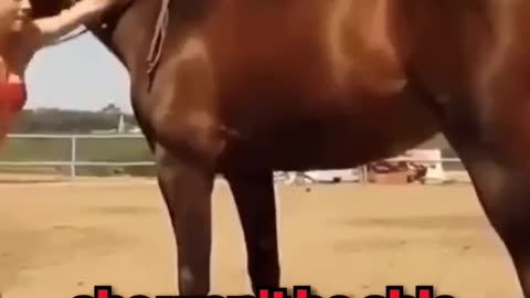 This Horse has 200 IQ ❤