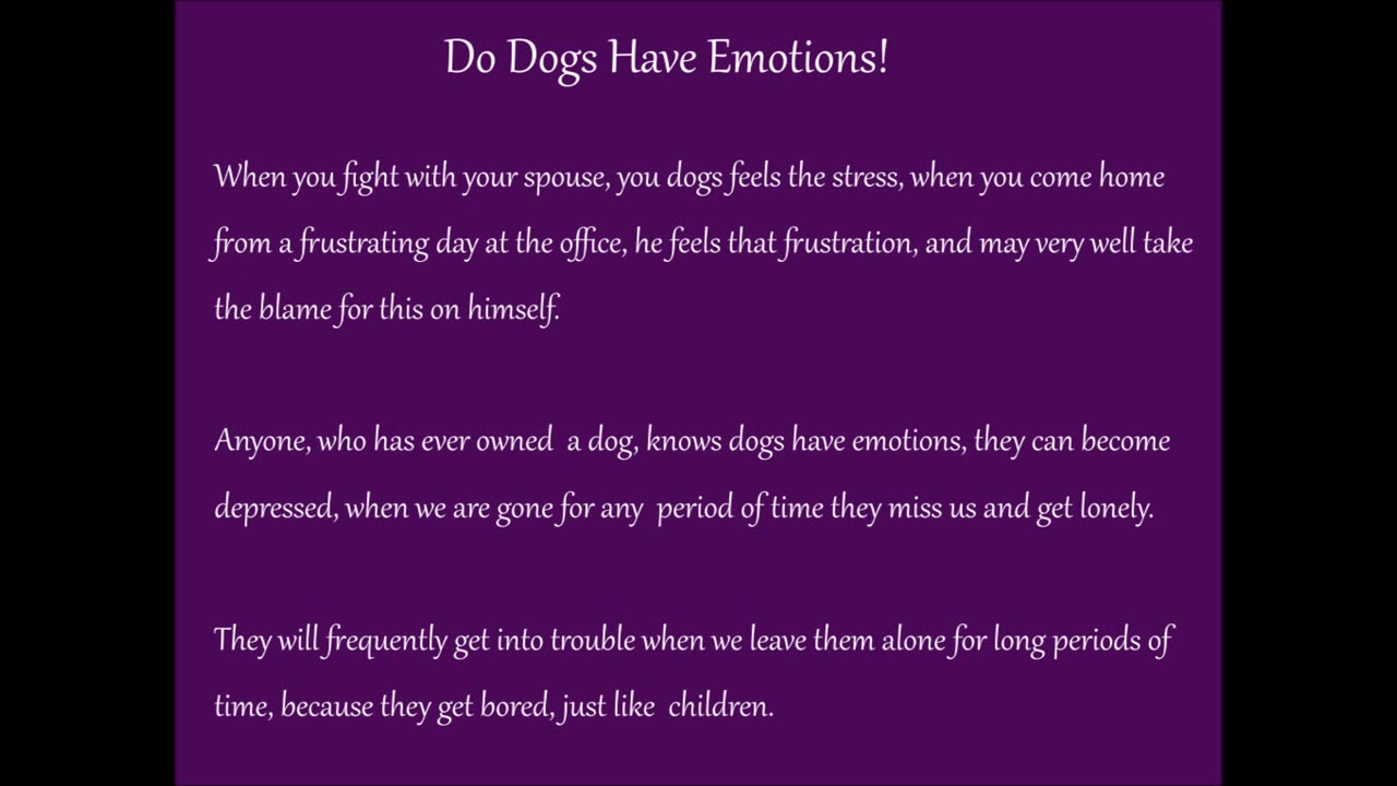 Do Dogs Have Emotions!