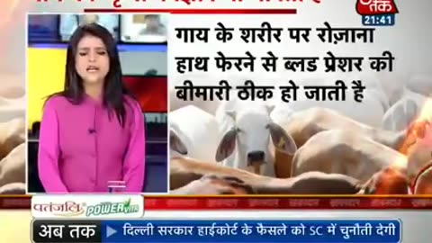 Gay (Cow)ki toilet mein Sona (Gold) hota hai Aaj Tak