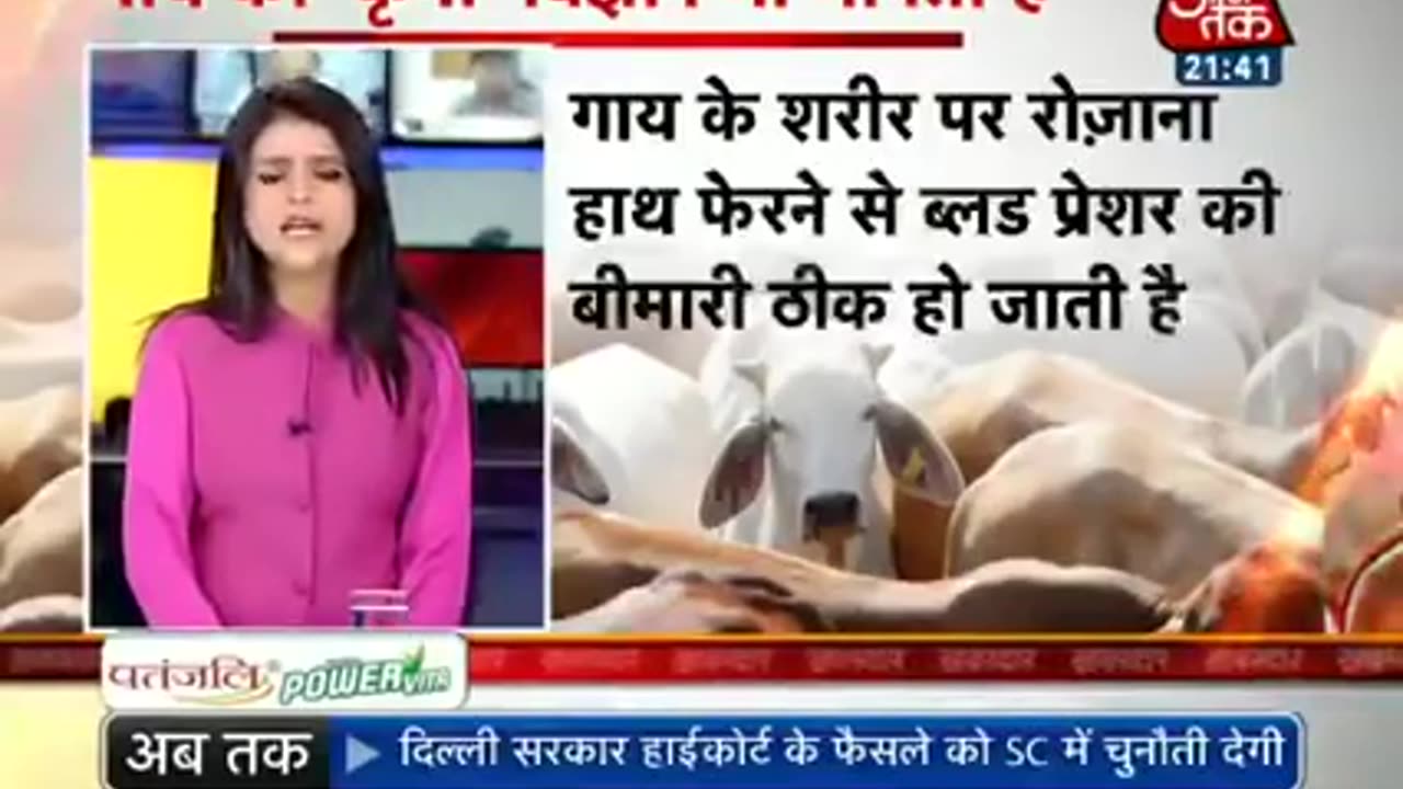 Gay (Cow)ki toilet mein Sona (Gold) hota hai Aaj Tak