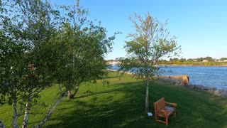 Waterside on a sunny day. GoPro.