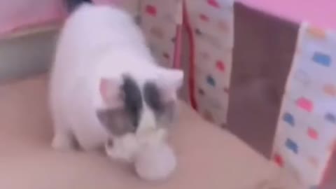 So cute.