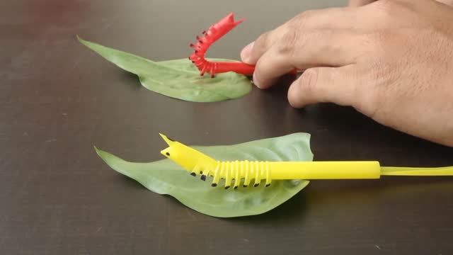 make a caterpillar out of a straw