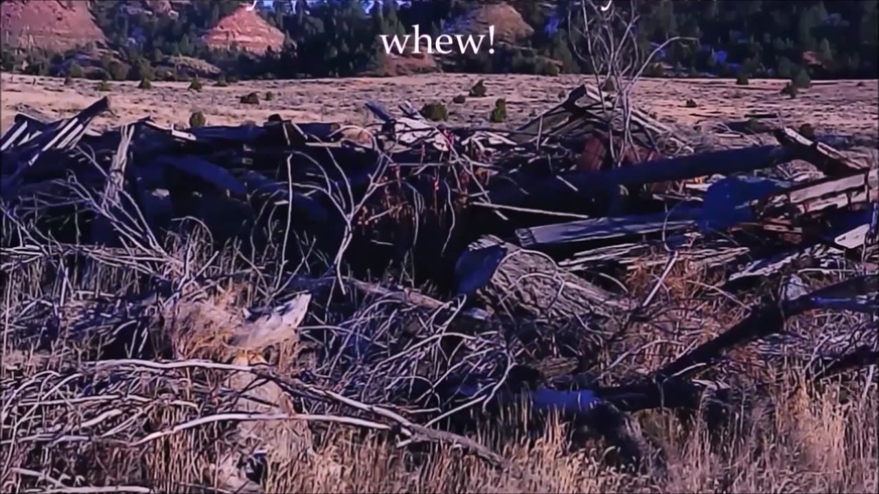 The Thing in the Tall Grass - FINAL BATTLE - THE END
