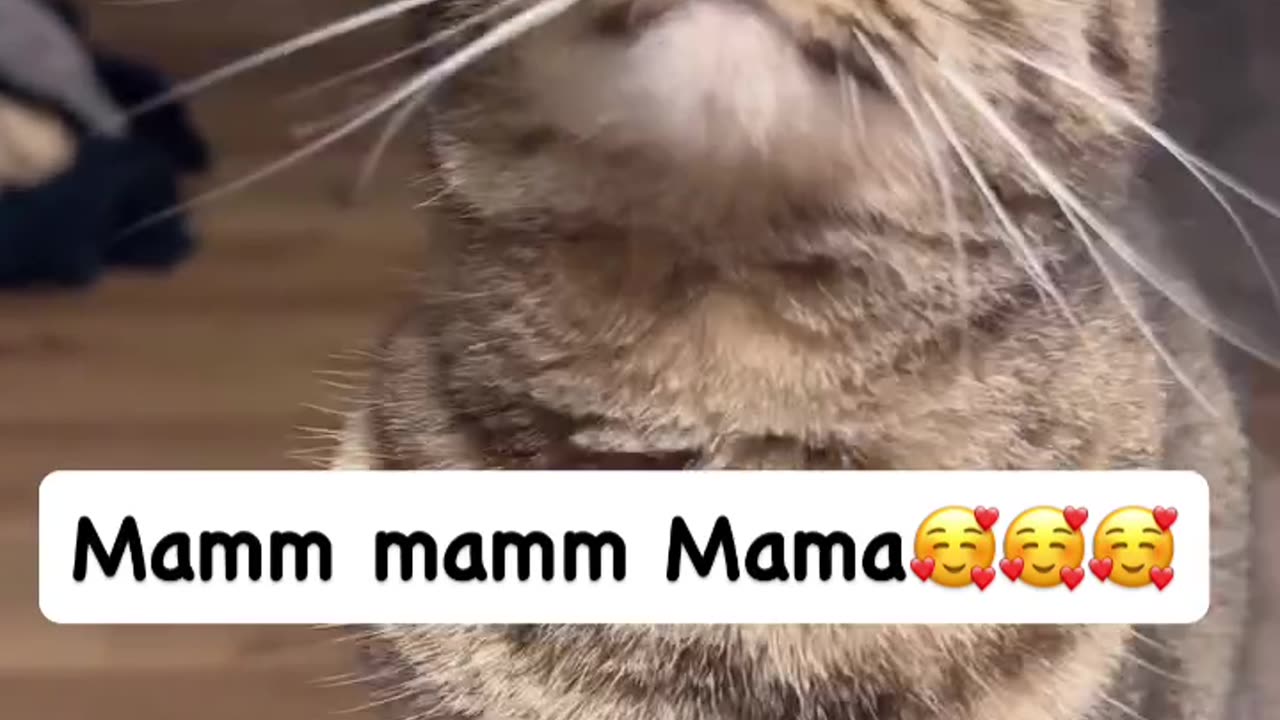 Mamm Mamm Mama