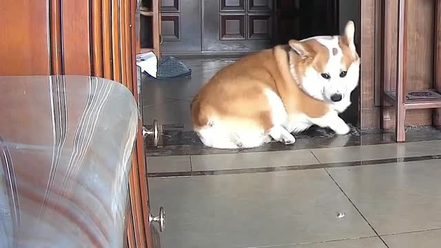 when you say nothing at all