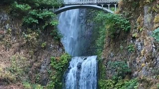 MUST SEE IN OREGON IN FALL (One week road trip)m