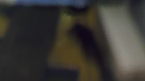P9030002