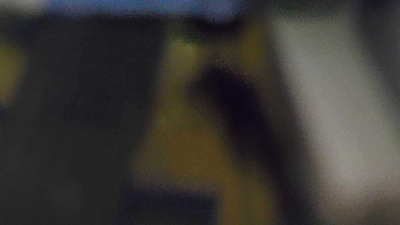 P9030002