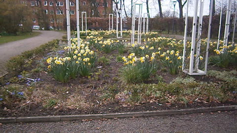 Nattens dröm. Margaretaplatsen, Helsingborg Långfredagen 18 April 2014