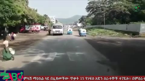 ህዳር 16-2024 ONM-ABO እለታዊ የኦሮሞ ነፃነት ሰራዊትና የኦሮሚያ ውሎ!