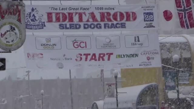 Mushers make Iditarod ceremonial start in heavy snow