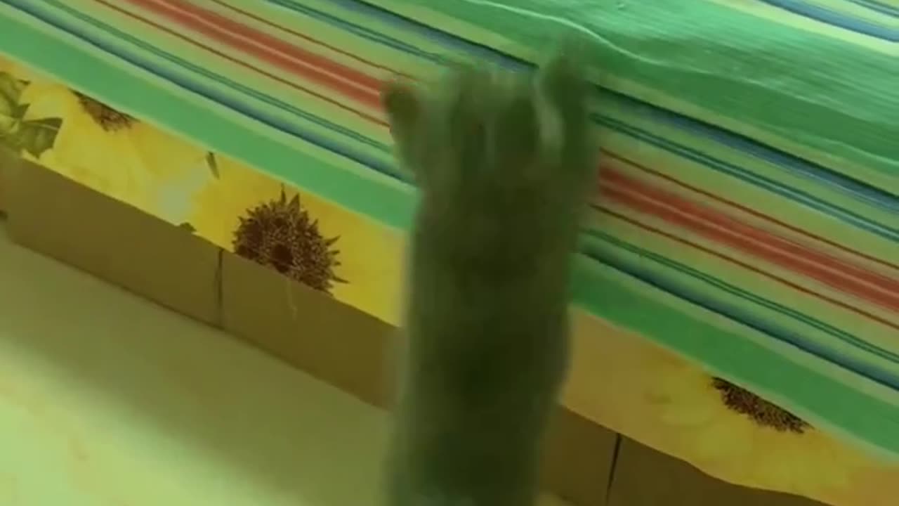 Mom will always help! ☺️☺️☺️☺️