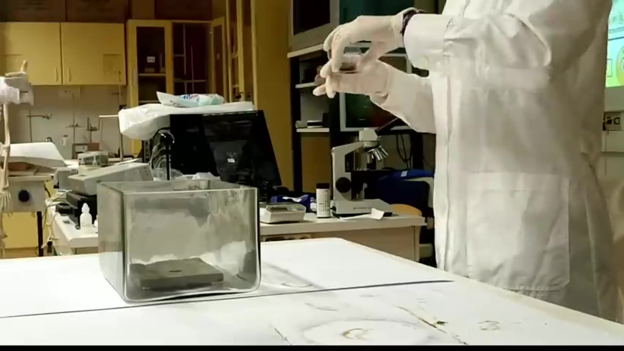 11 Fascinating Chemistry Experiments(Compilation)