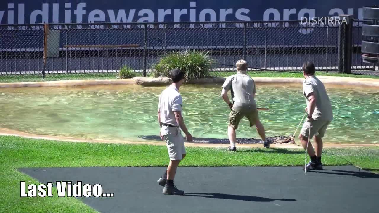 Monty taking his prize home before he eats it _ Croc Show _ Australia Zoo