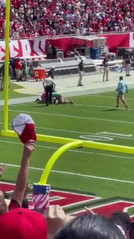 Boy Gets Tackled After Running Onto NFL Field